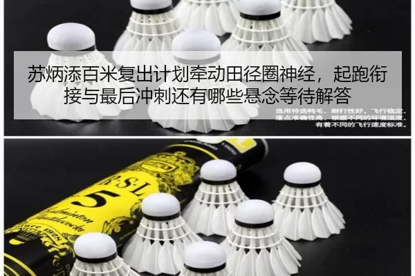 su-bing-tian-bai-mi-fu-chu-ji-hua-qian-dong-tian-jing-quan-shen-jing-qi-pao-xian-jie-yu-zui-hou-chong-ci-hai-you-na-xie-2-466.jpg